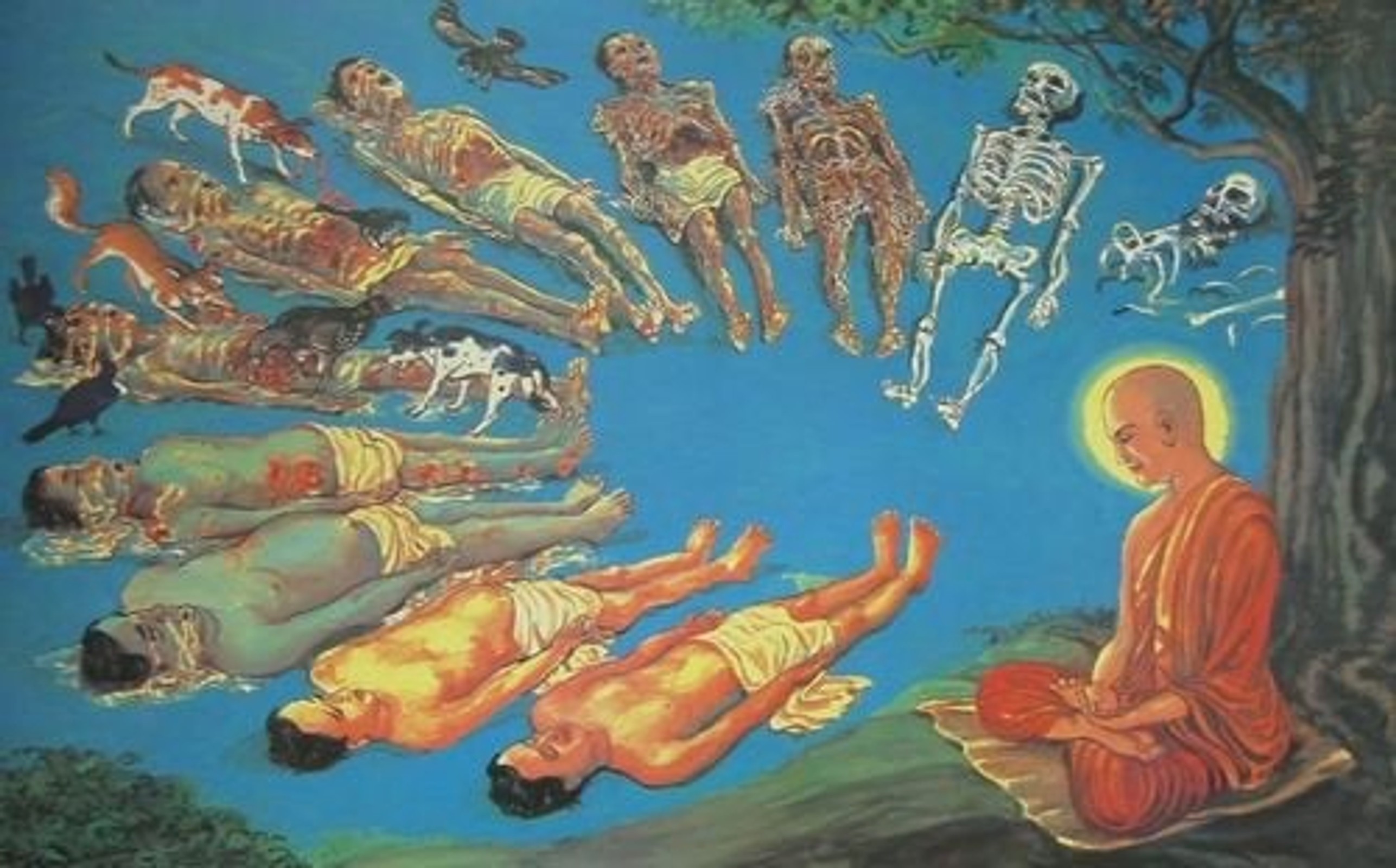 Akash Navayana Buddhist Association
